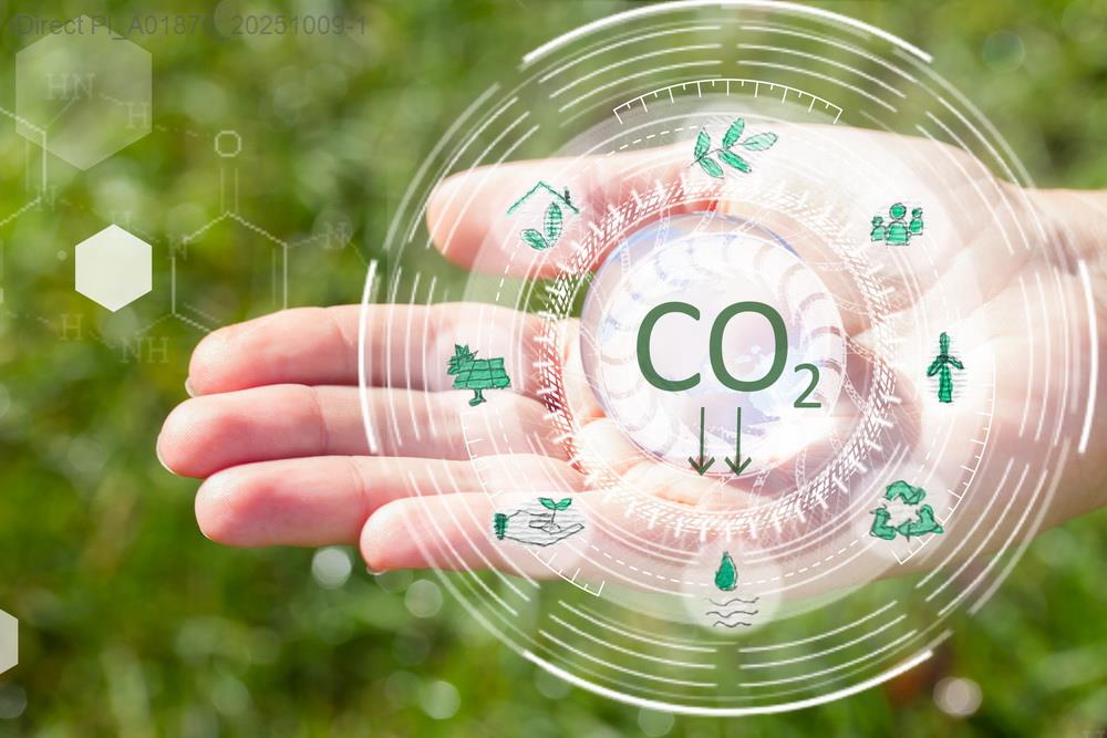 「一掃空間亂象！台灣永續生活用品選購指南，讓你家環保又時尚」示意圖